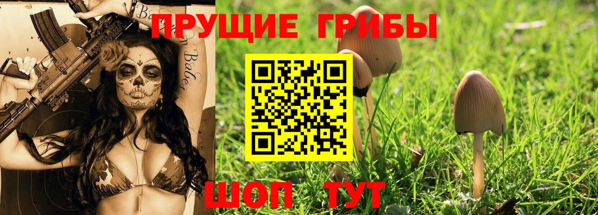 Галлюциногенные грибы мицелий Архангельск