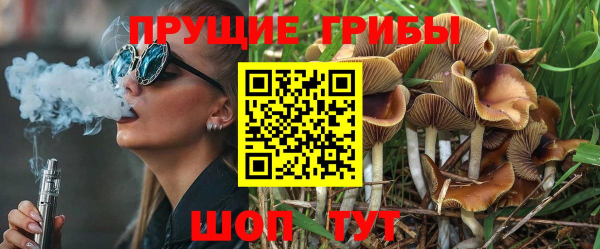 Псилоцибиновые грибы Psilocybe  Вход с VPN  Архангельск 